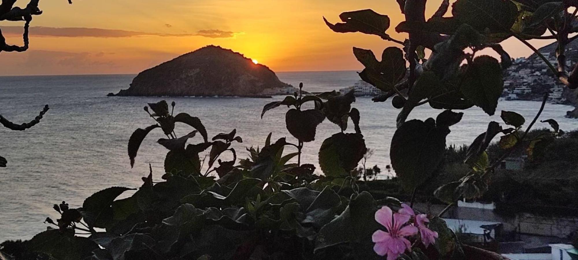 Casa Antonio Bed and Breakfast Barano dʼIschia Buitenkant foto