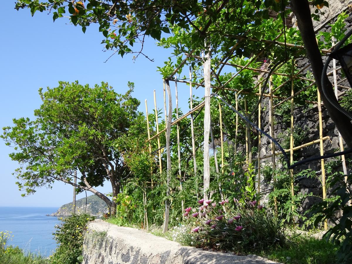 Casa Antonio Bed and Breakfast Barano dʼIschia Buitenkant foto